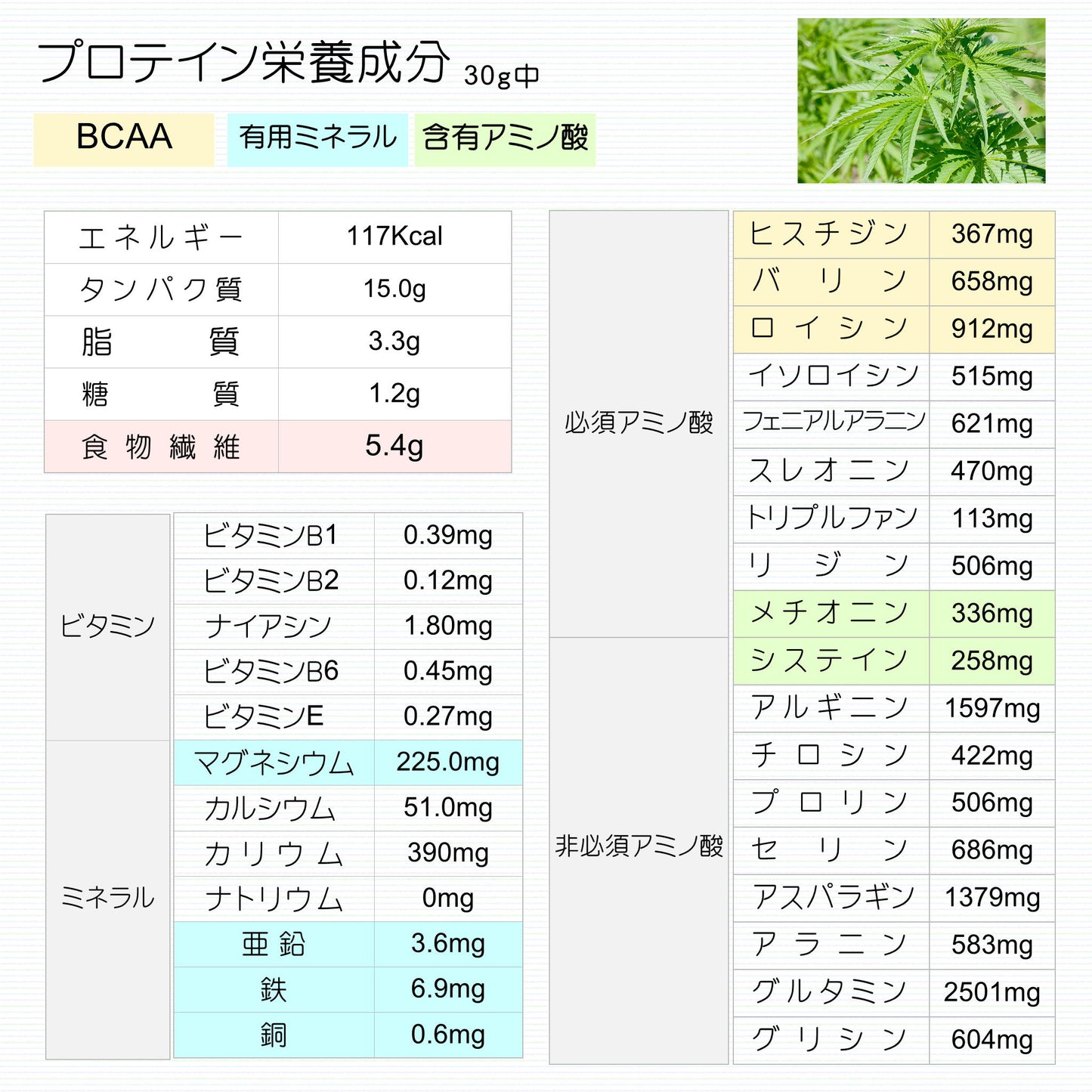 ヘンププロテイン