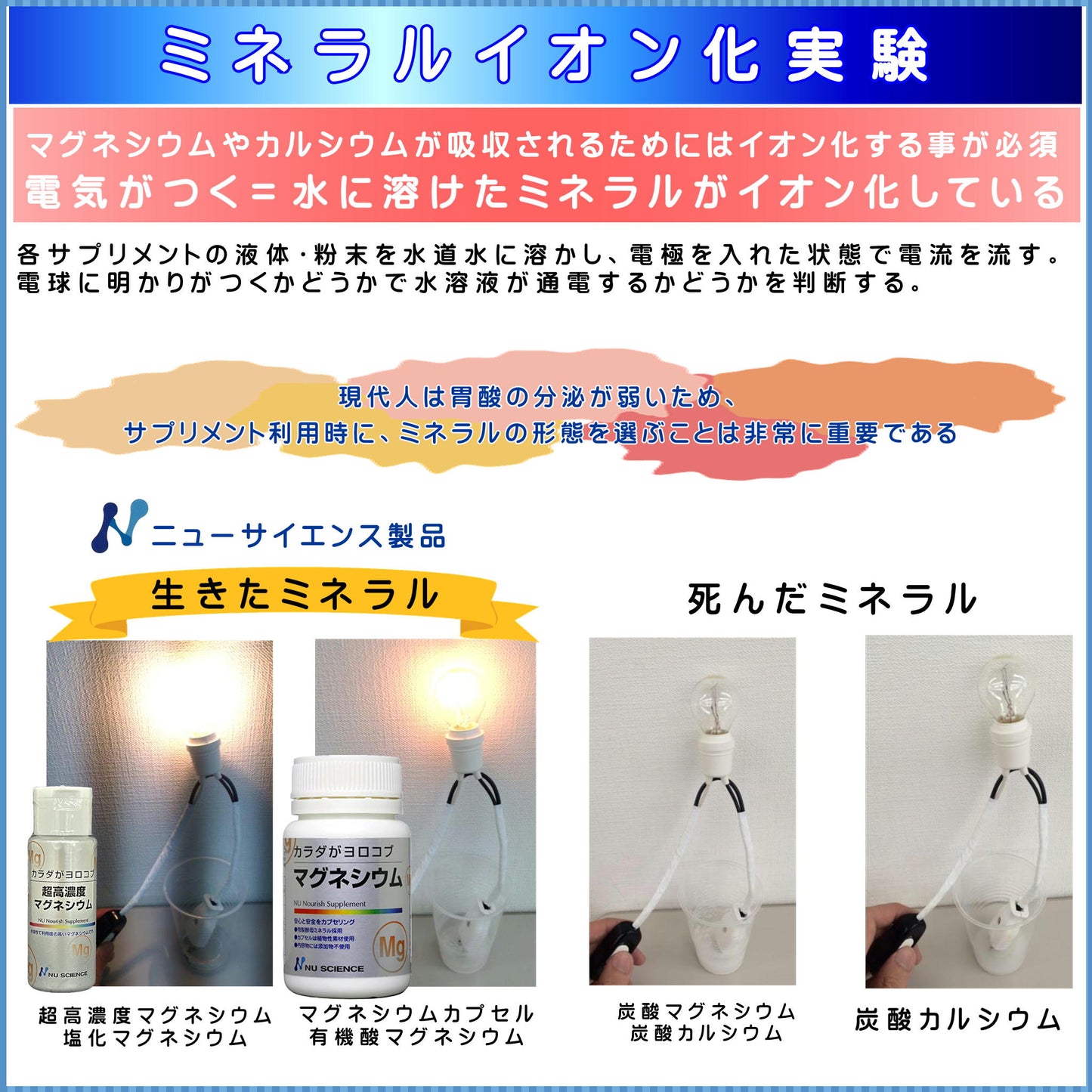 カラダガヨロコブ マグネシウム