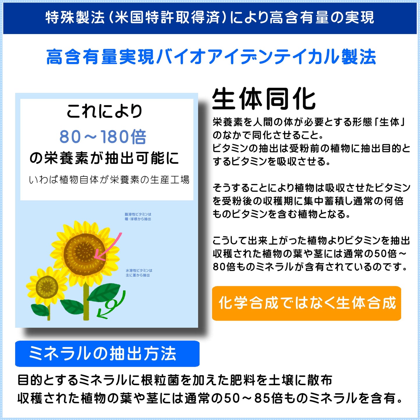マルチミネラルビタミン
