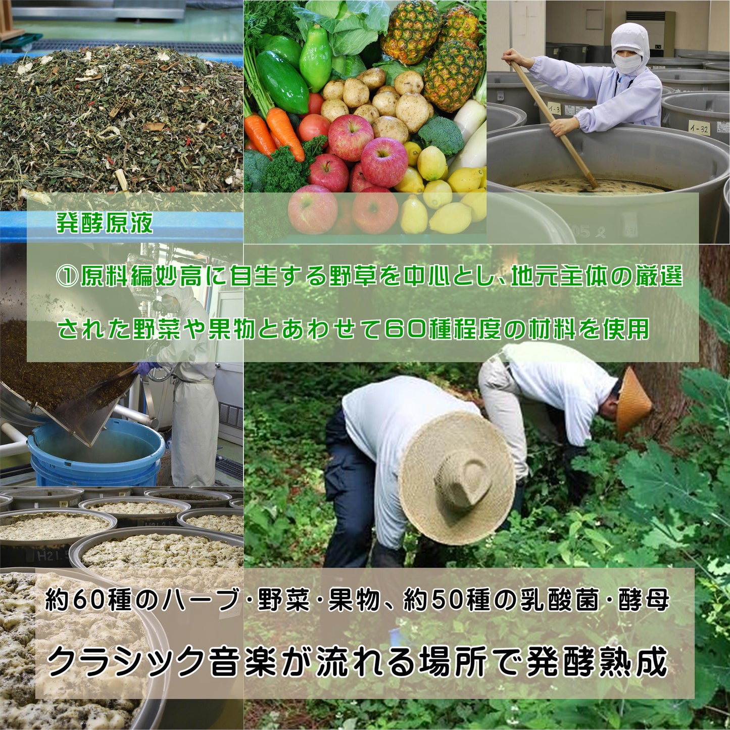 ファスティングヴィンテージ