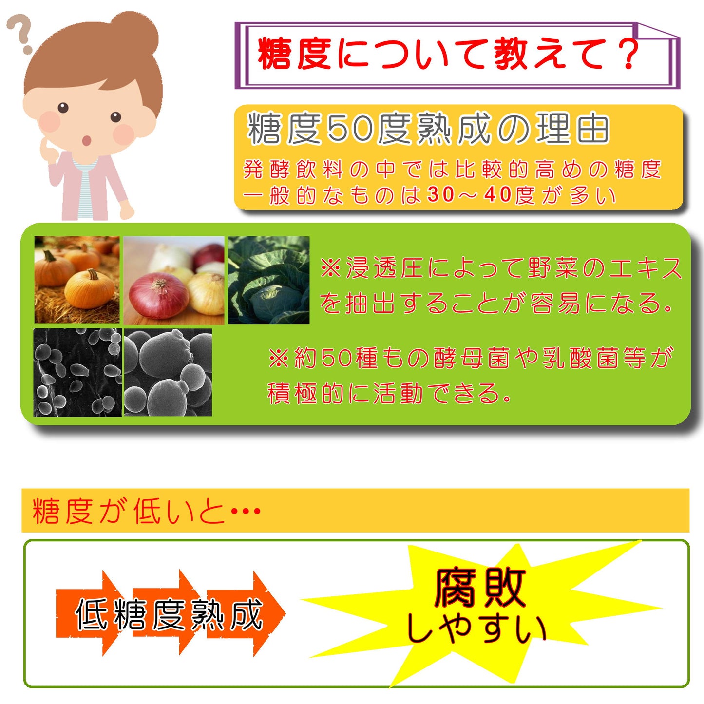 ファスティングヴィンテージ