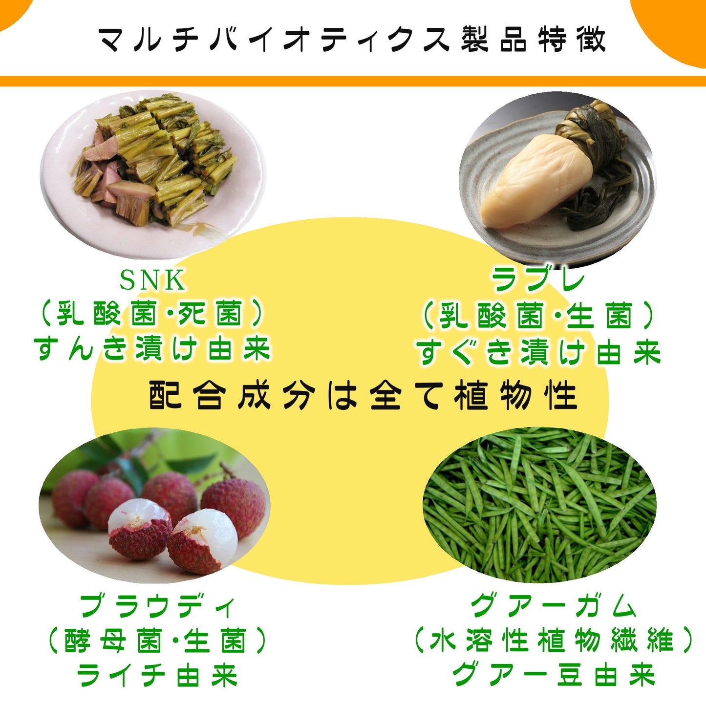 マルチバイオティクス