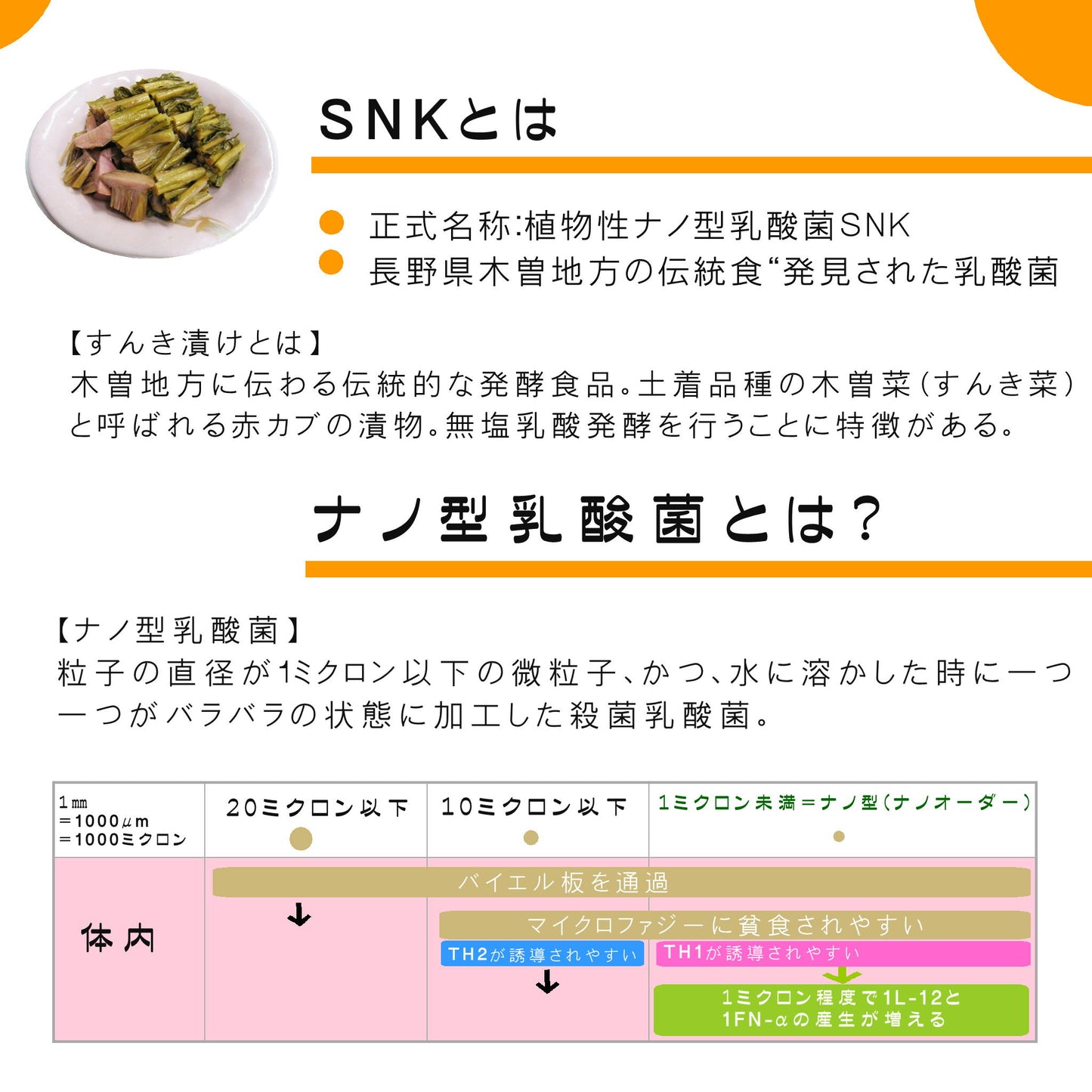 マルチバイオティクス