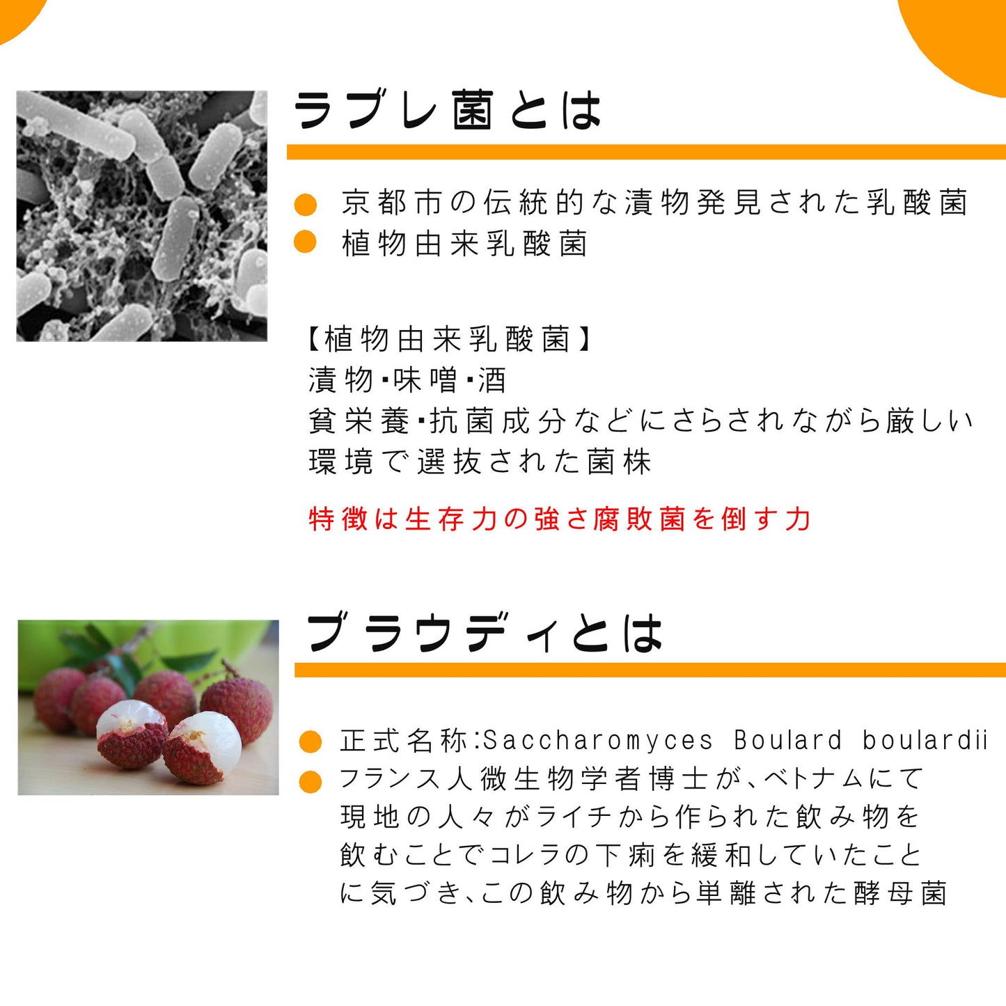 マルチバイオティクス