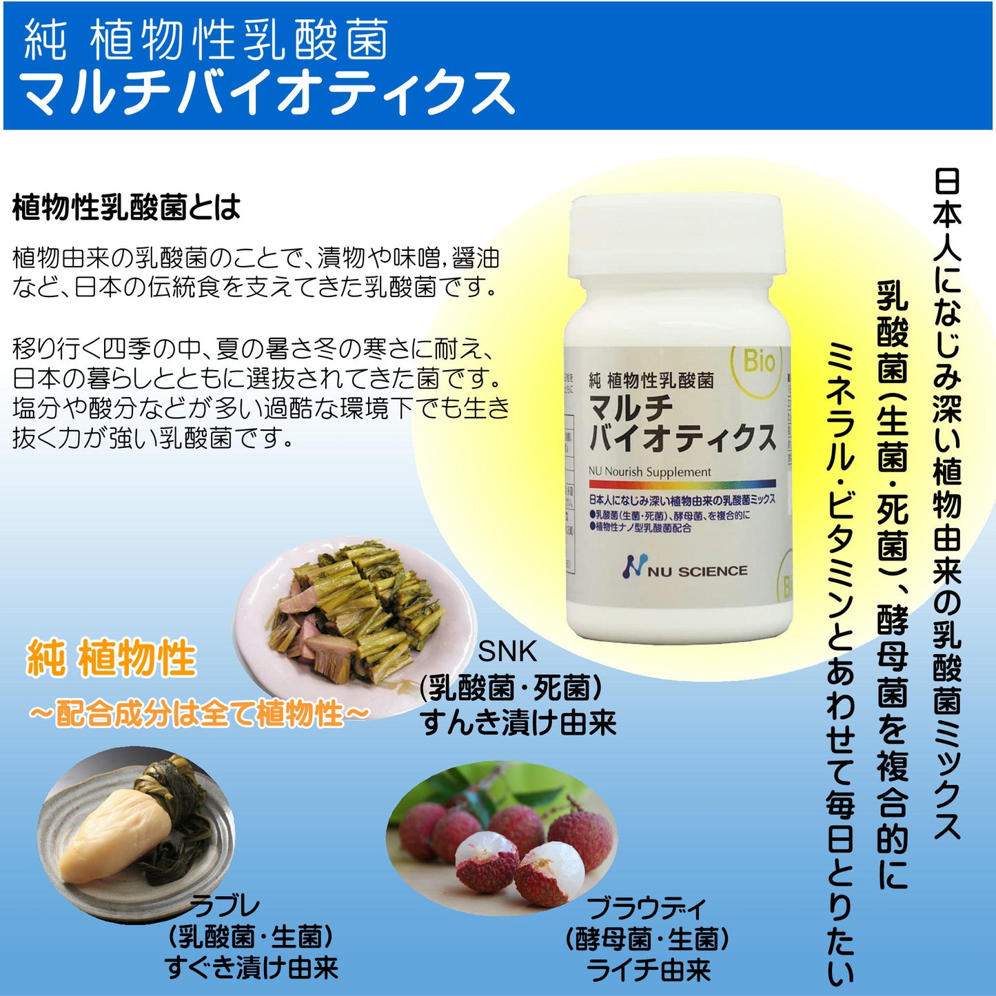 マルチバイオティクス