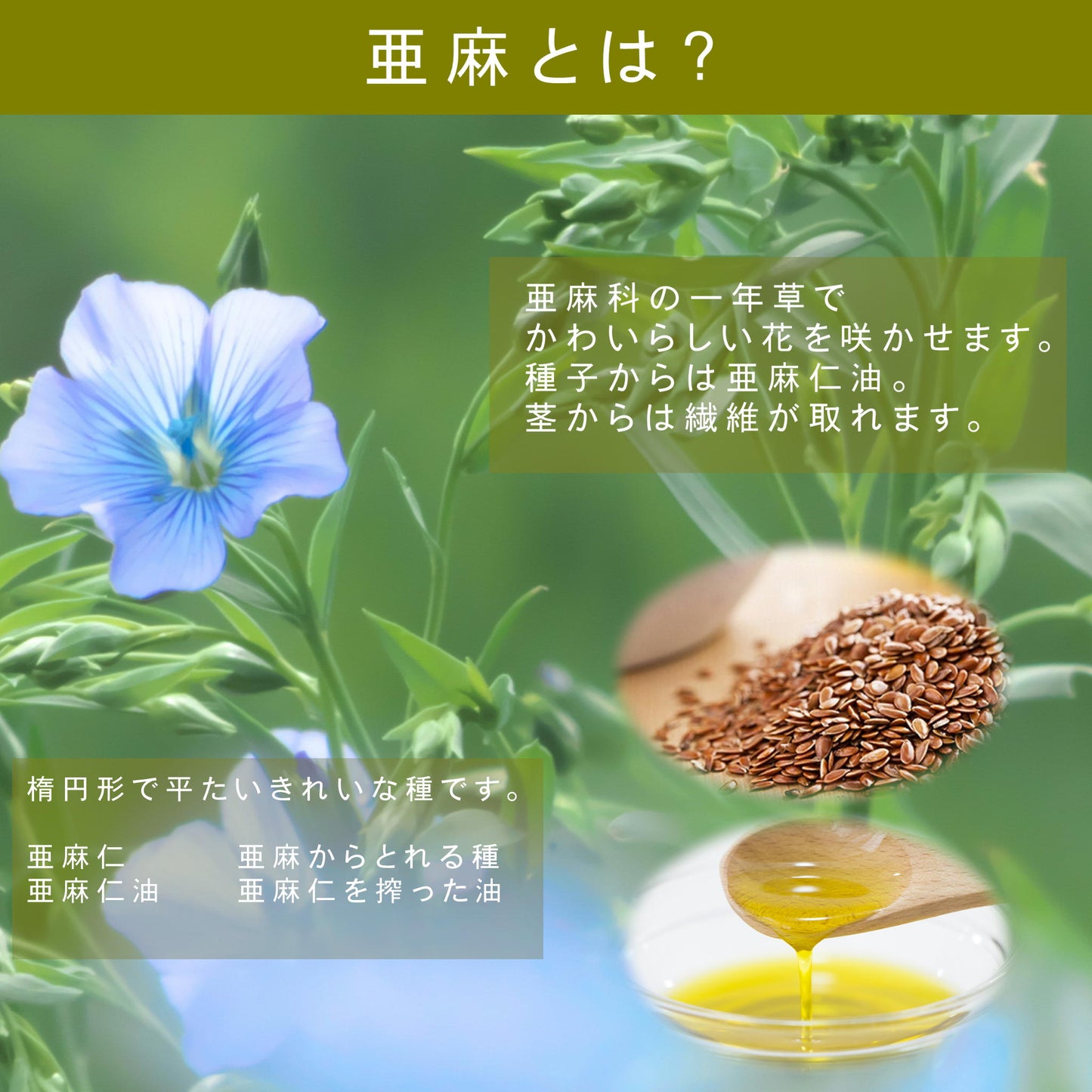 カナダ産有機亜麻仁油