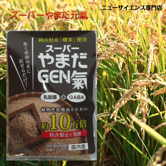 スーパーやまだ元気